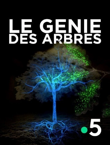 Le génie des arbres