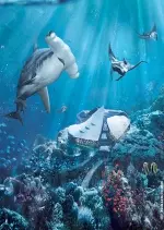 Nausicaa, le plus grand aquarium d'Europe