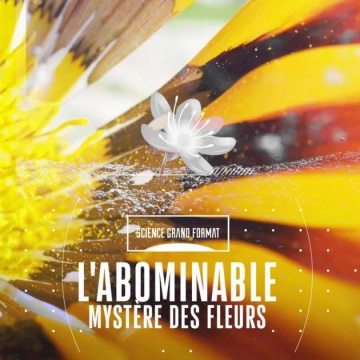 Science grand format - L'abominable mystère des fleurs