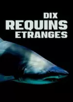 Dix requins étranges