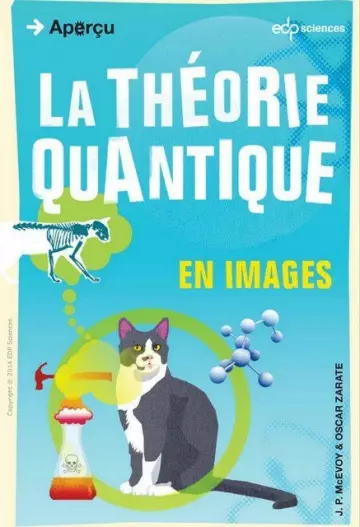 LA THÉORIE QUANTIQUE EN IMAGES