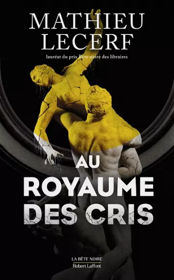 Au royaume des cris - Mathieu Lecerf