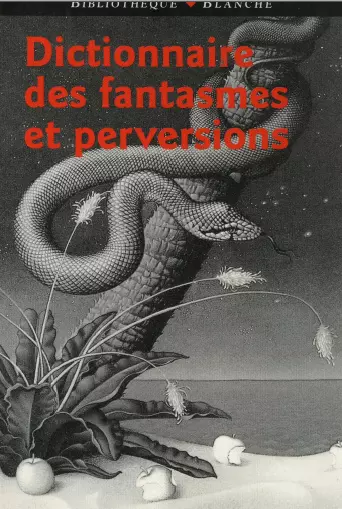 DICTIONNAIRE DES FANTASMES ET PERVERSIONS