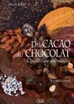 Du cacao au chocolat