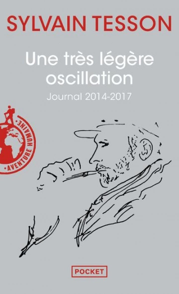 UNE TRÈS LÉGÈRE OSCILLATION - SYLVAIN TESSON