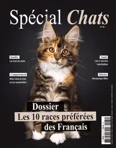 Spécial Chats N.65 - Octobre-Novembre-Décembre 2024