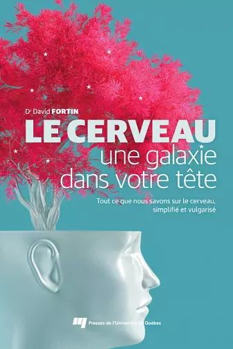 Le cerveau, une galaxie dans votre tête - David Fortin