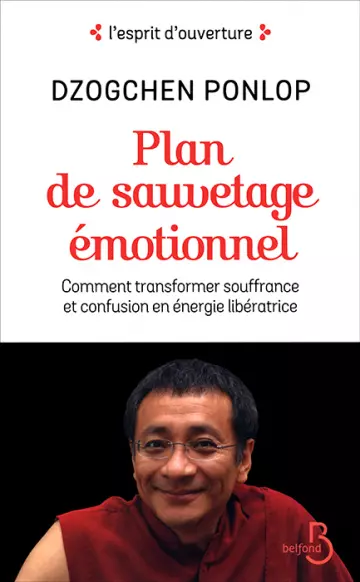 PLAN DE SAUVETAGE ÉMOTIONNEL - DZOGCHEN PONLOP RINPOCHÉ