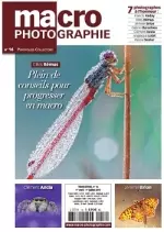 Macro Photographie No.16 - Avril/Juillet 2017