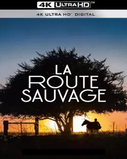 La Route sauvage (Lean on Pete)