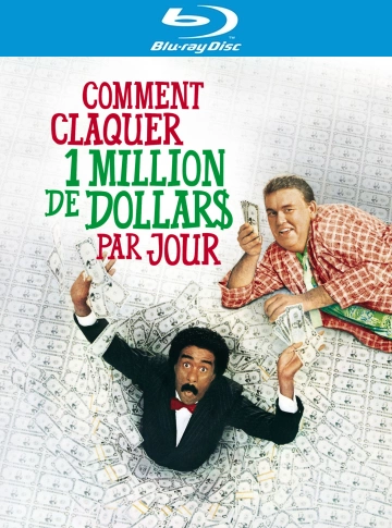 Comment claquer un million de dollars par jour