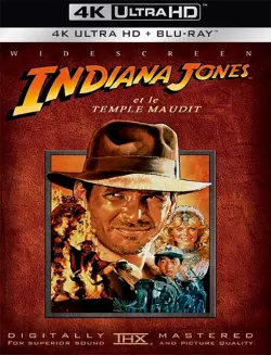 Indiana Jones et le Temple maudit