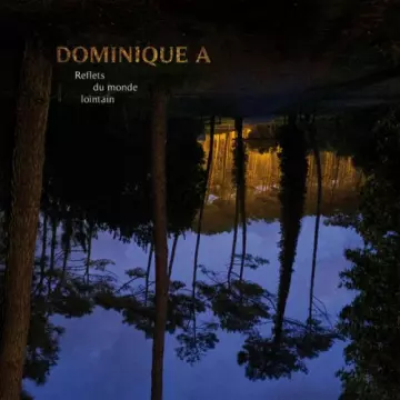 Dominique A - Reflets du monde lointain