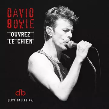 David Bowie - Ouvrez Le Chien (Live Dallas 95)